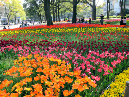120424_06.jpg