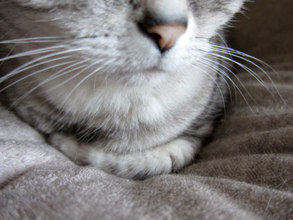 120429_02.jpg