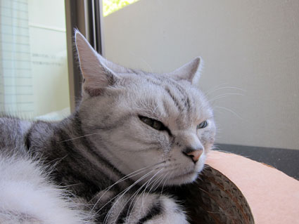 120430_06.jpg