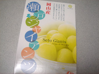budo1.jpg